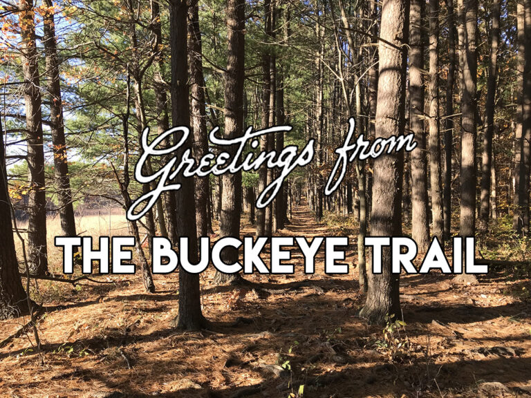 Image of the Buckeye Trail with the title on top.